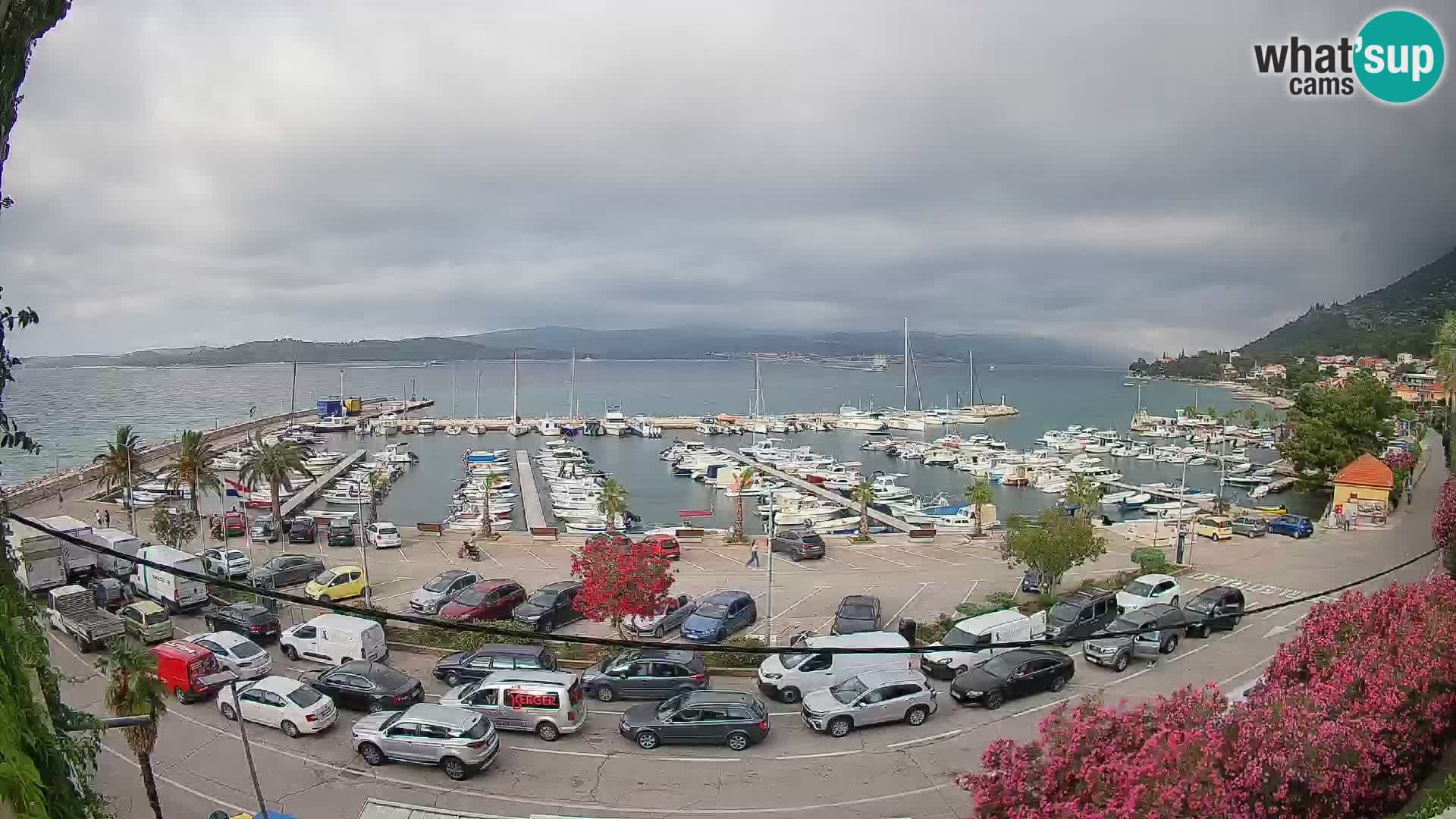 Webcam Sabbioncello Riva – Traghetto per Curzola in diretta