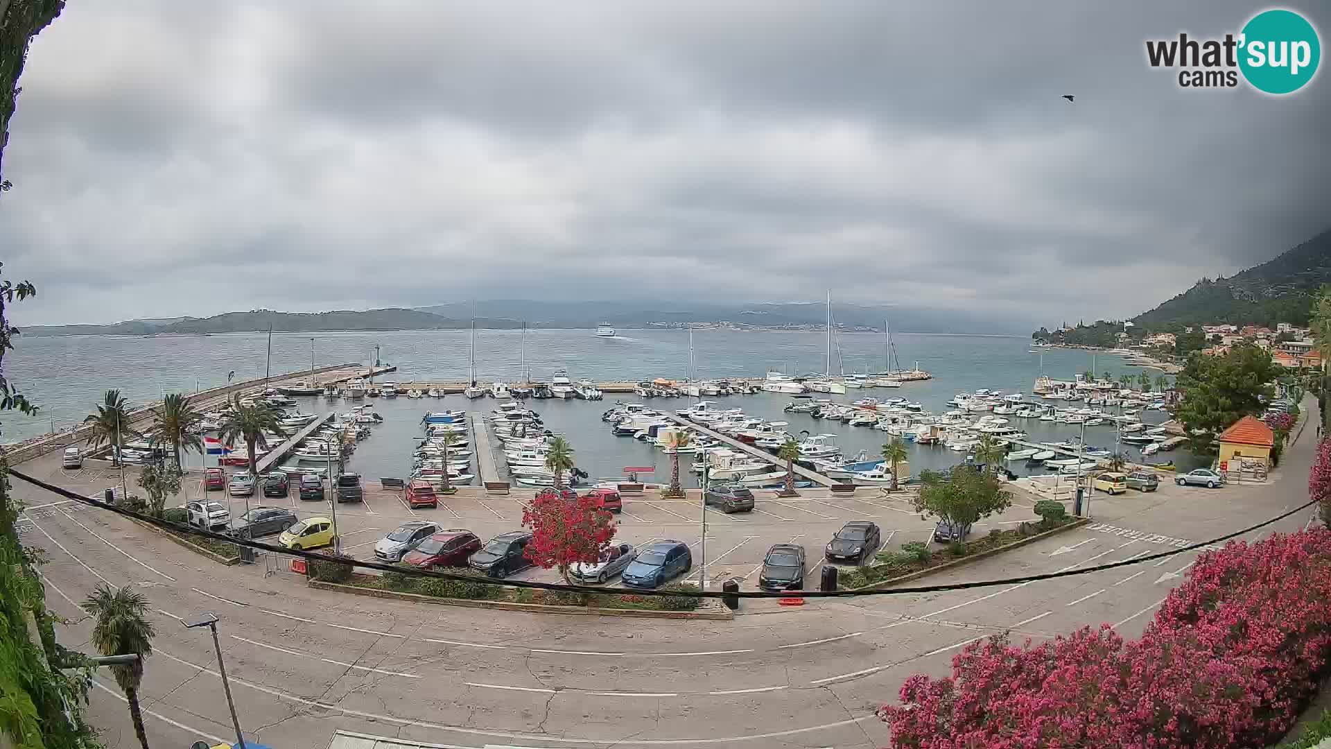 Webcam Orebić Riva – Ferry a Korčula en vivo