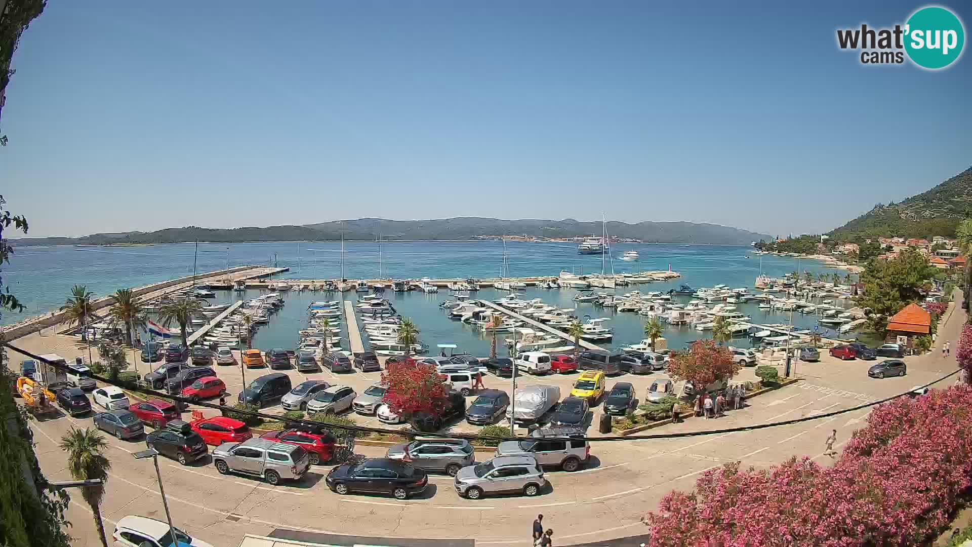 Webcam Sabbioncello Riva – Traghetto per Curzola in diretta