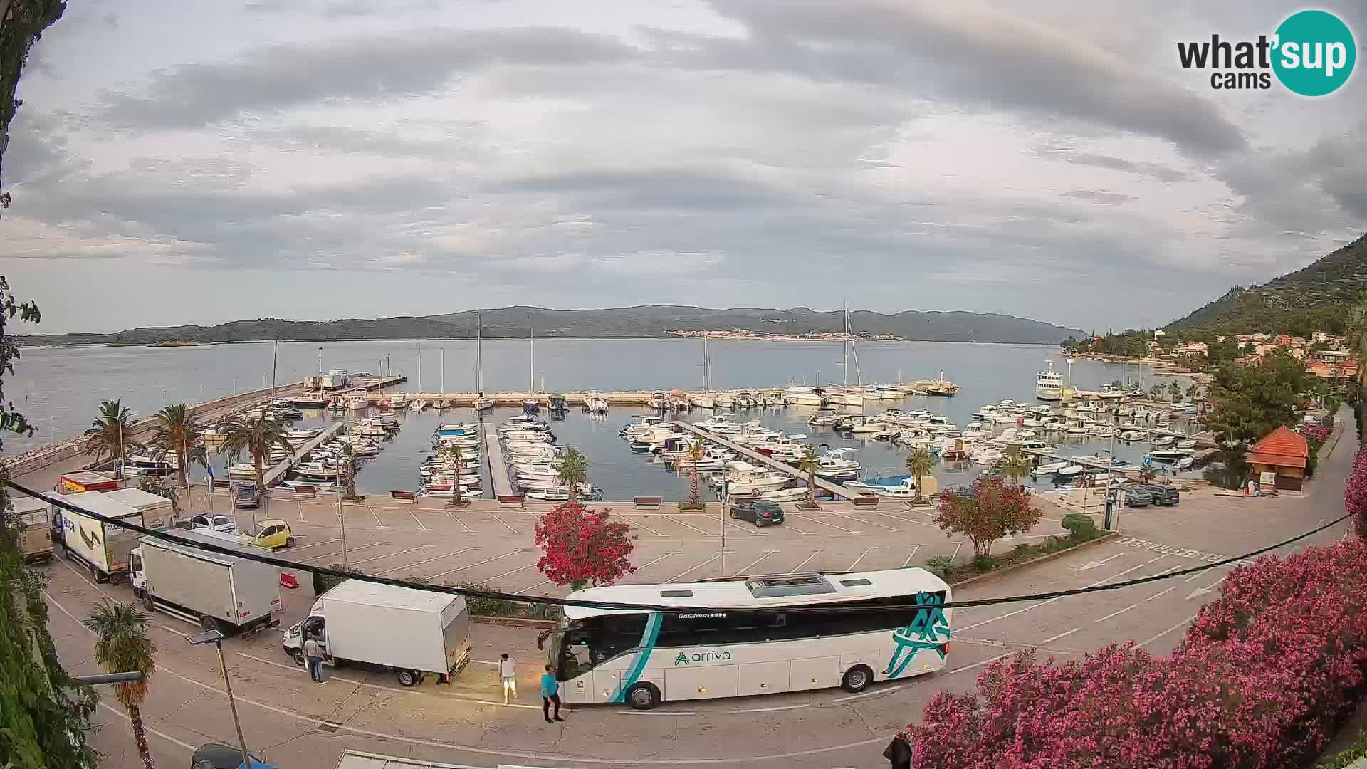 Webcam Orebić Riva – Ferry vers Korčula en direct