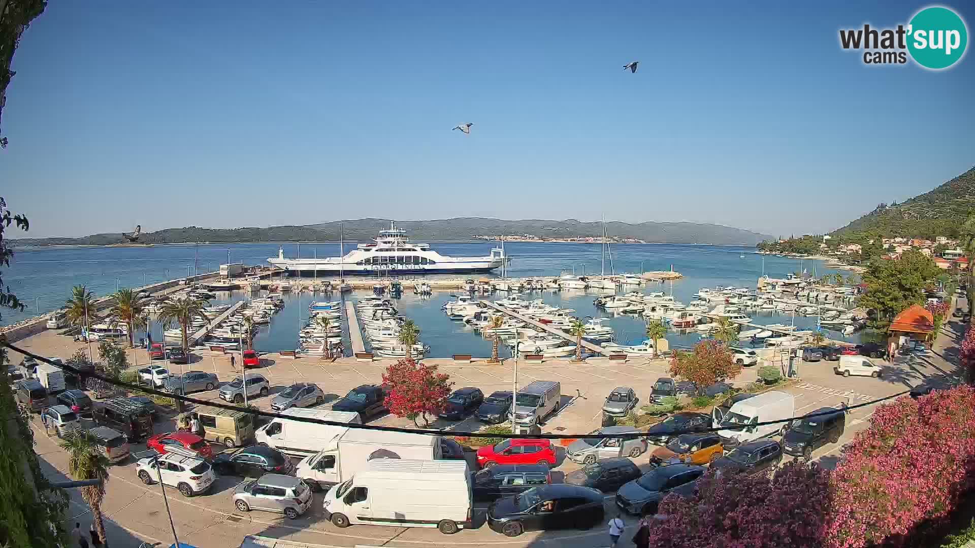 Webcam Orebić Riva – Ferry to Korčula Live
