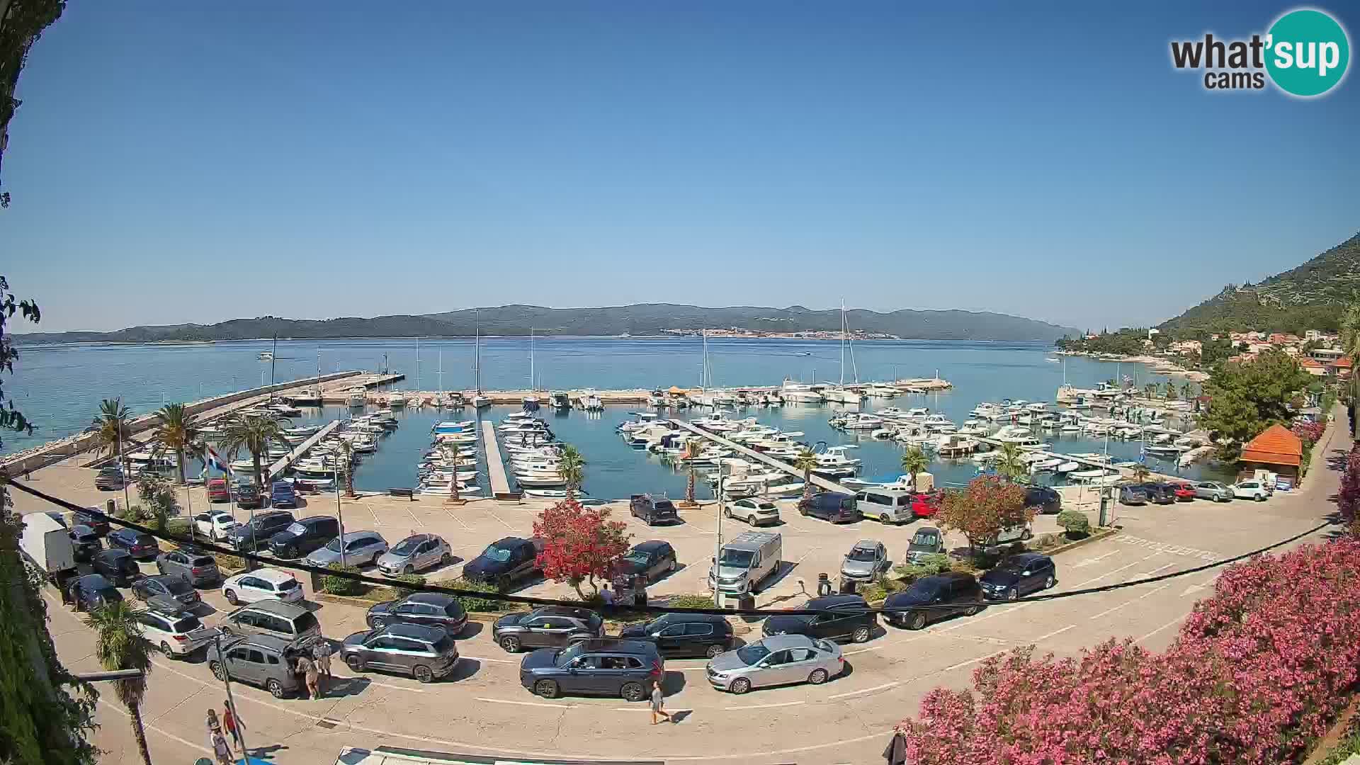 Webcam Sabbioncello Riva – Traghetto per Curzola in diretta