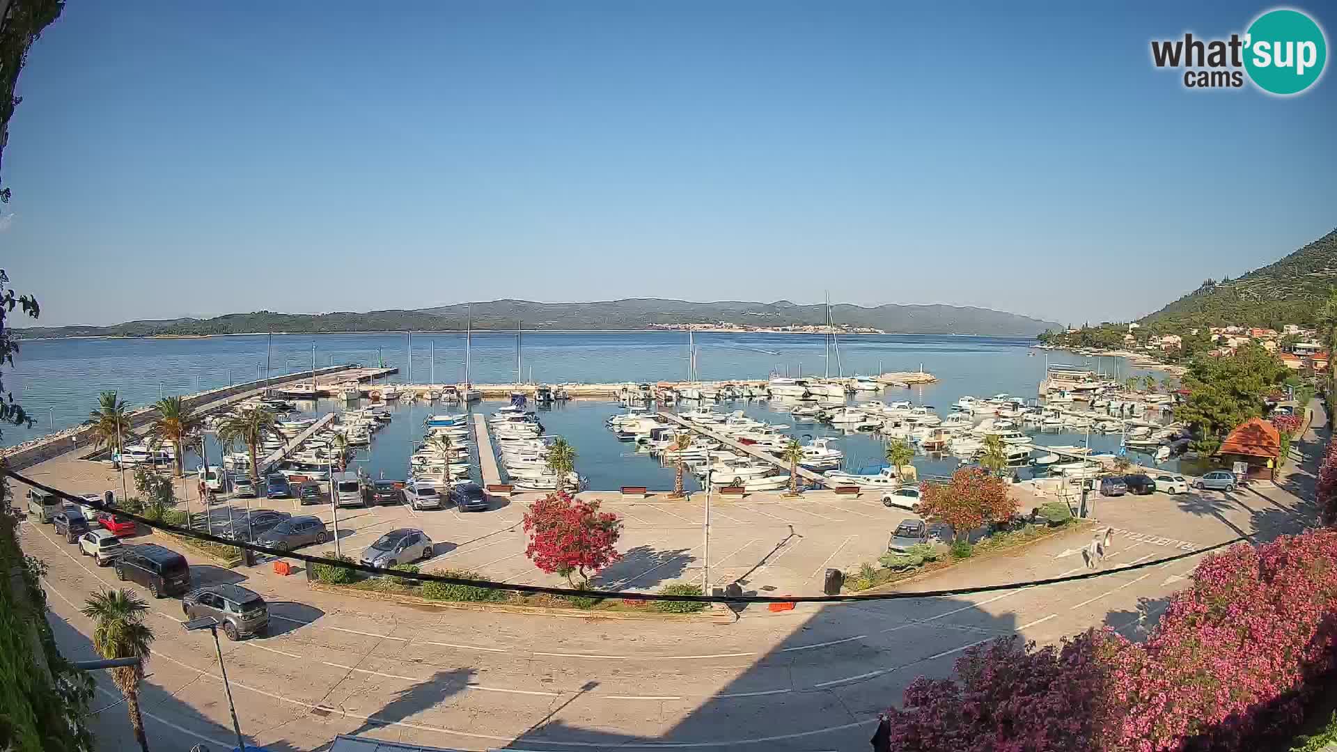 Webcam Orebić Uferpromenade – Fähre nach Korčula Live