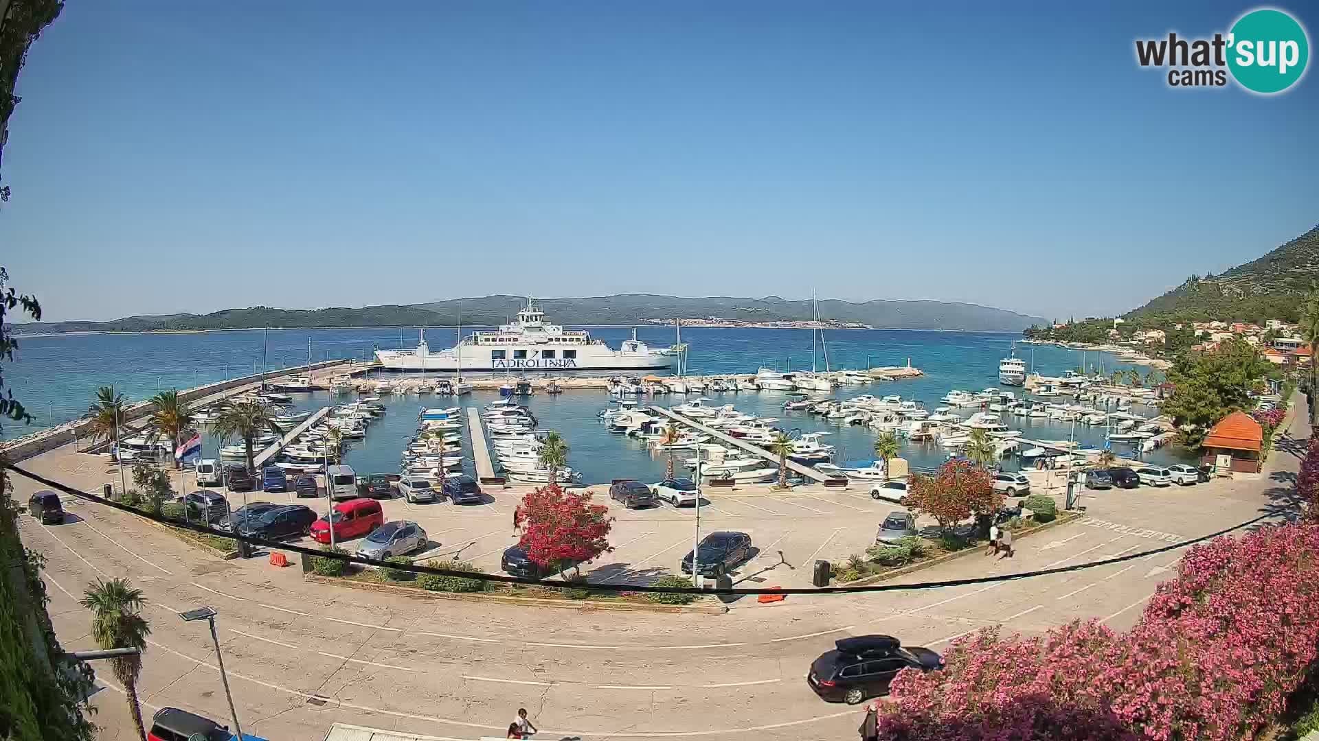 Webcam Sabbioncello Riva – Traghetto per Curzola in diretta