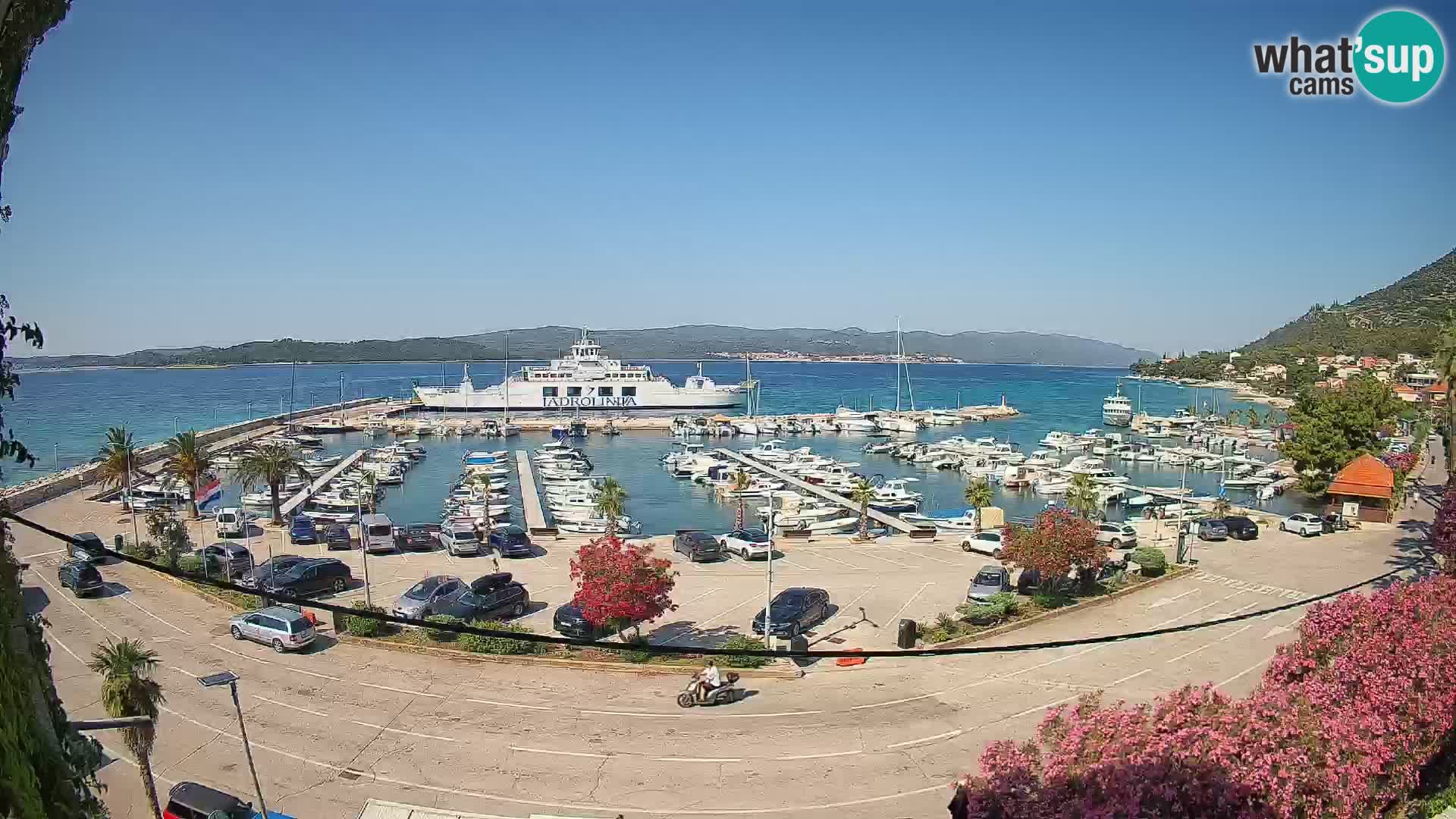 Webcam Orebić Uferpromenade – Fähre nach Korčula Live
