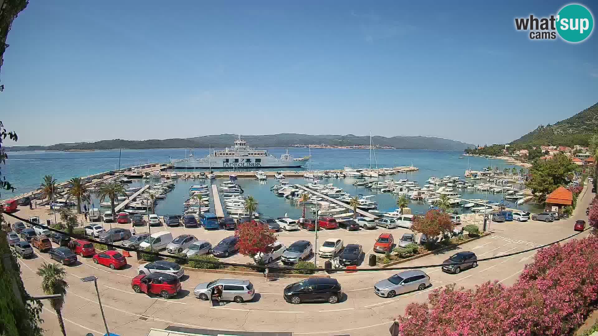 Webcam Sabbioncello Riva – Traghetto per Curzola in diretta