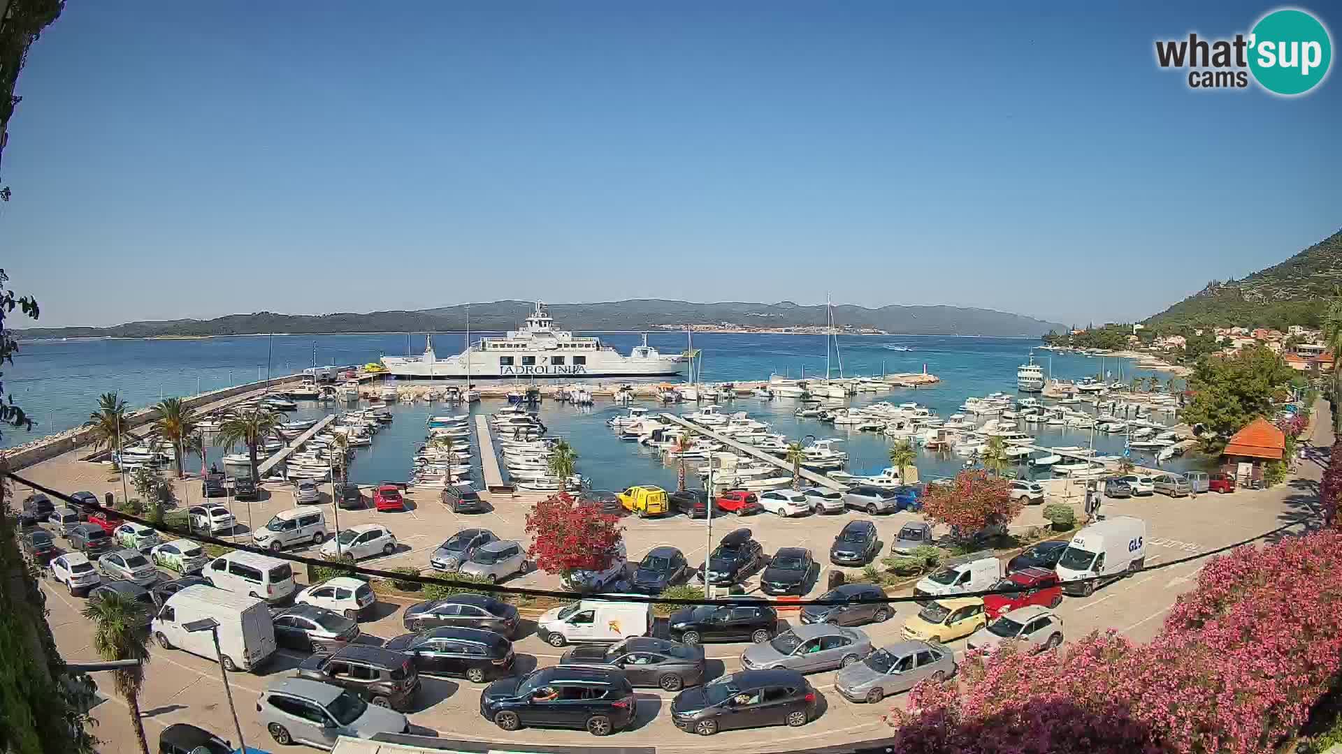Webcam Sabbioncello Riva – Traghetto per Curzola in diretta