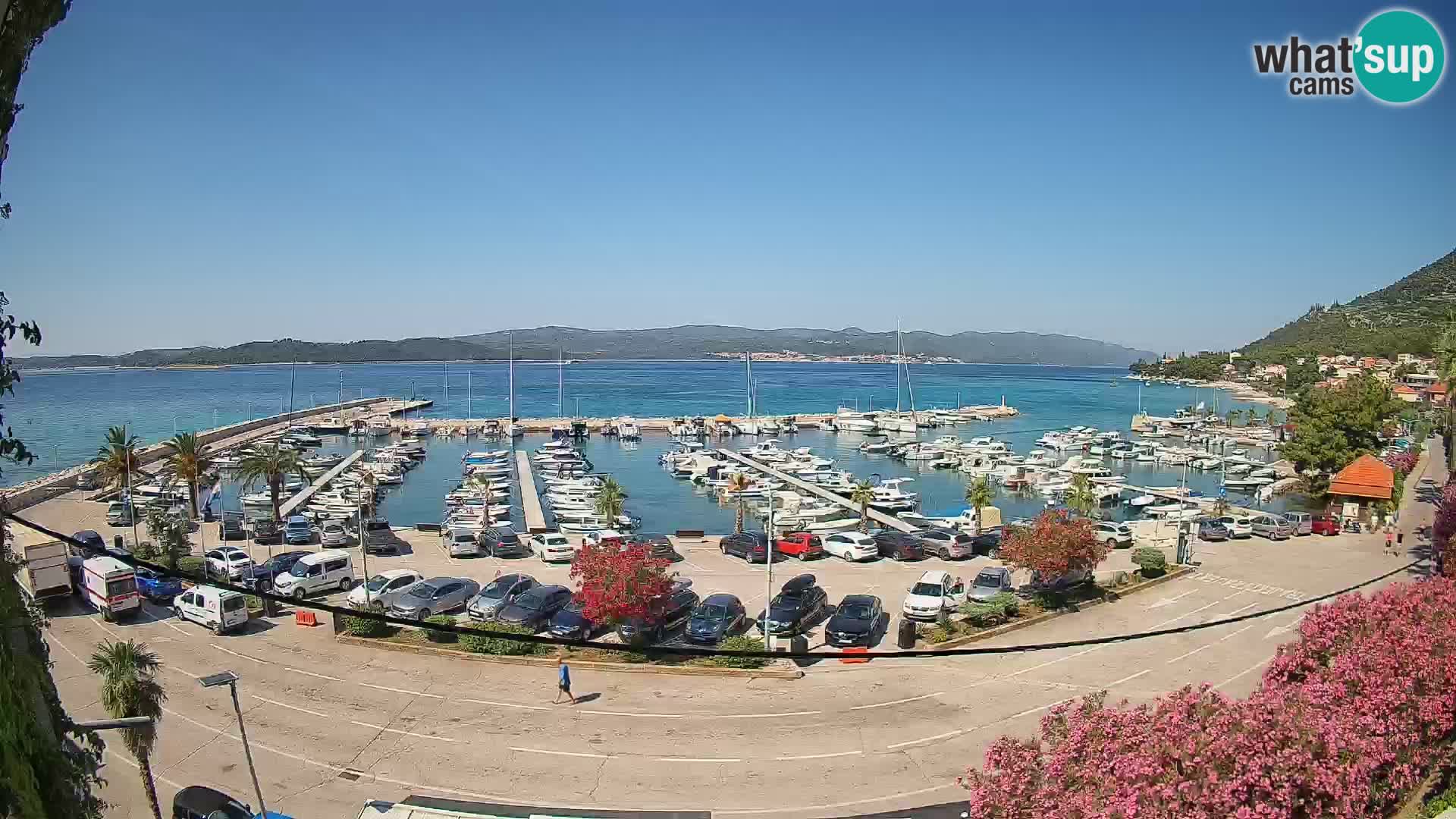 Webcam Sabbioncello Riva – Traghetto per Curzola in diretta