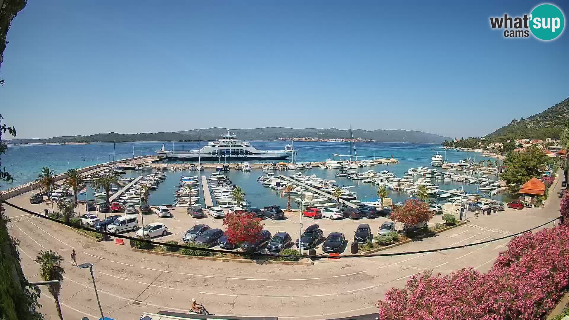 Webcam Orebić Riva – Ferry a Korčula en vivo