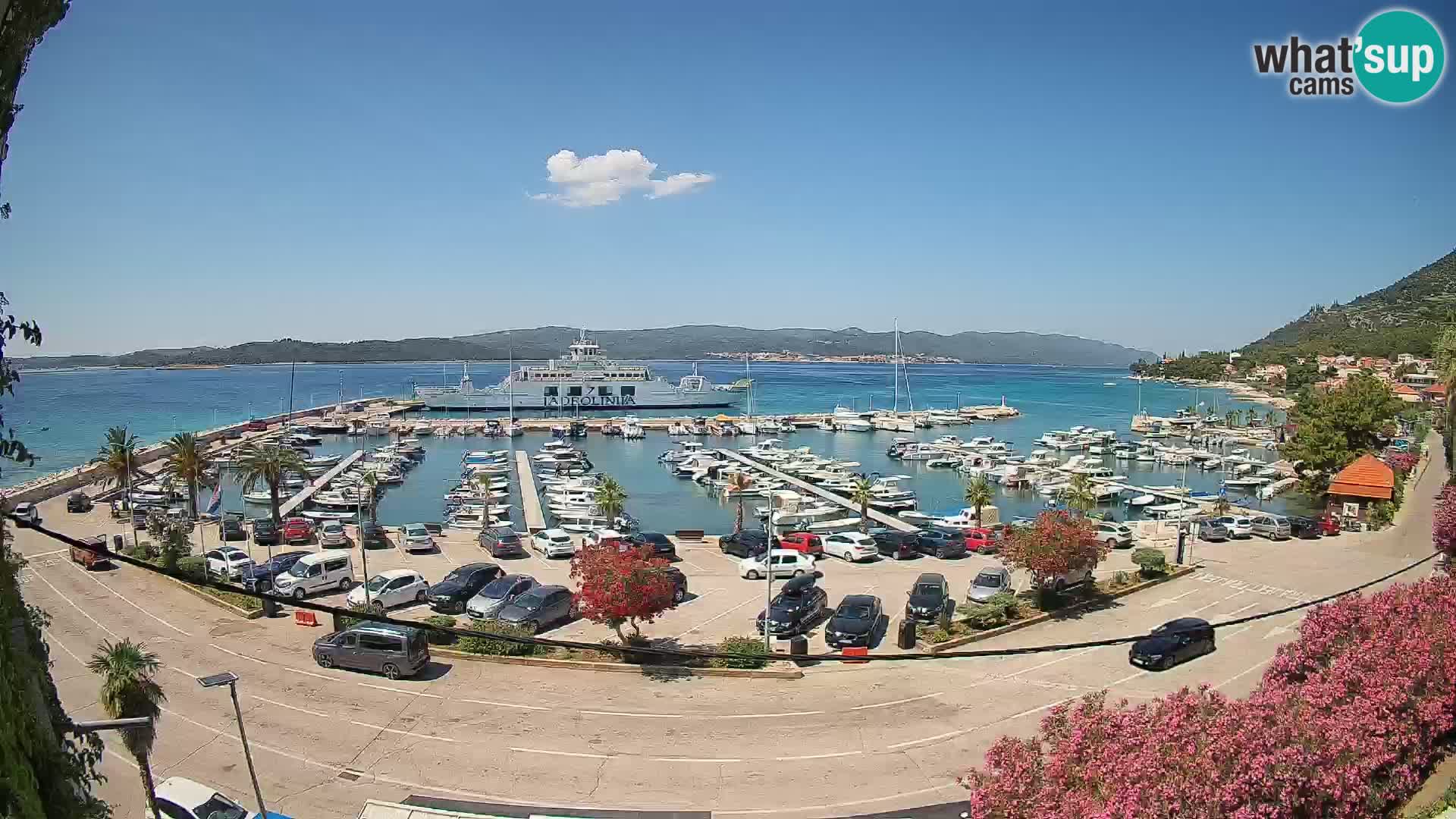Webcam Orebić Riva – Ferry a Korčula en vivo