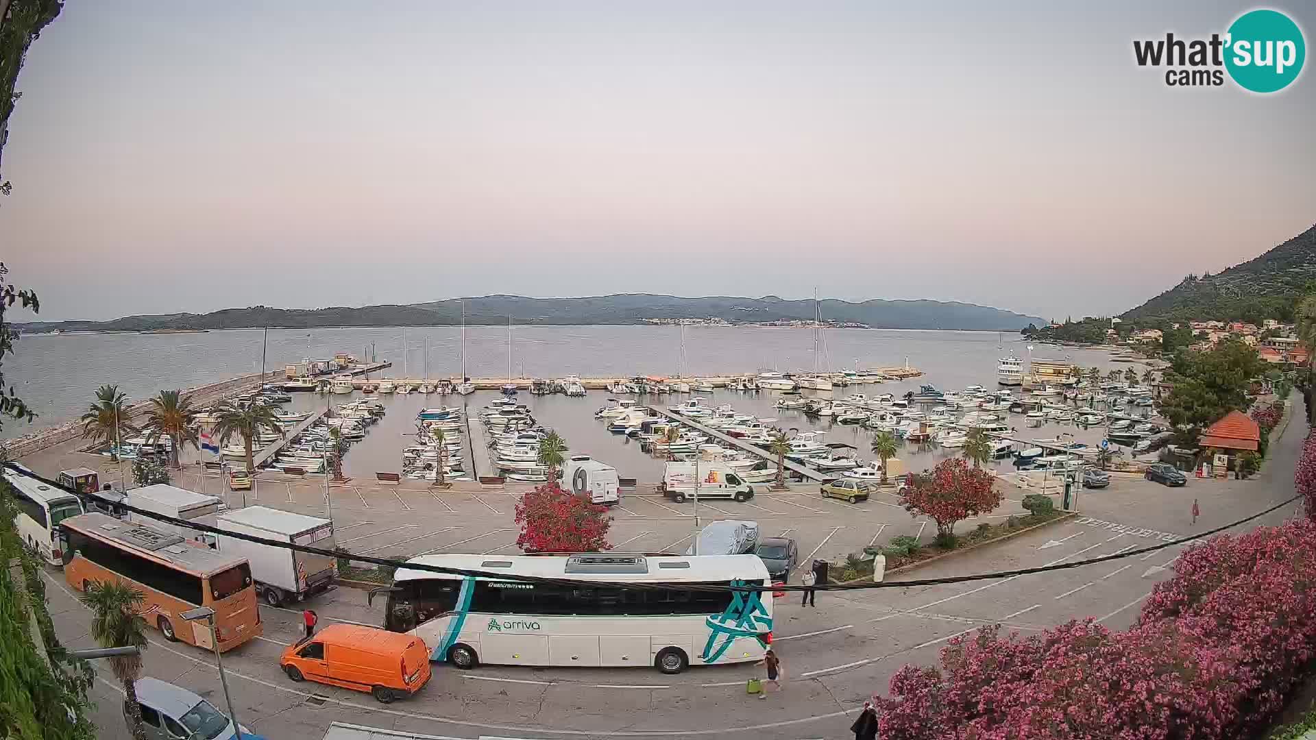 Webcam Orebić Riva – Ferry a Korčula en vivo
