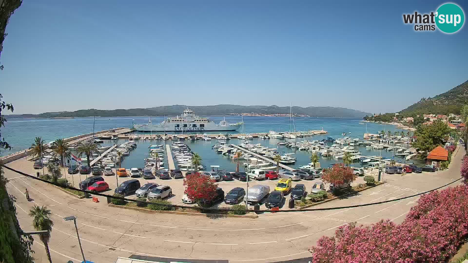 Webcam Orebić Riva – Ferry a Korčula en vivo