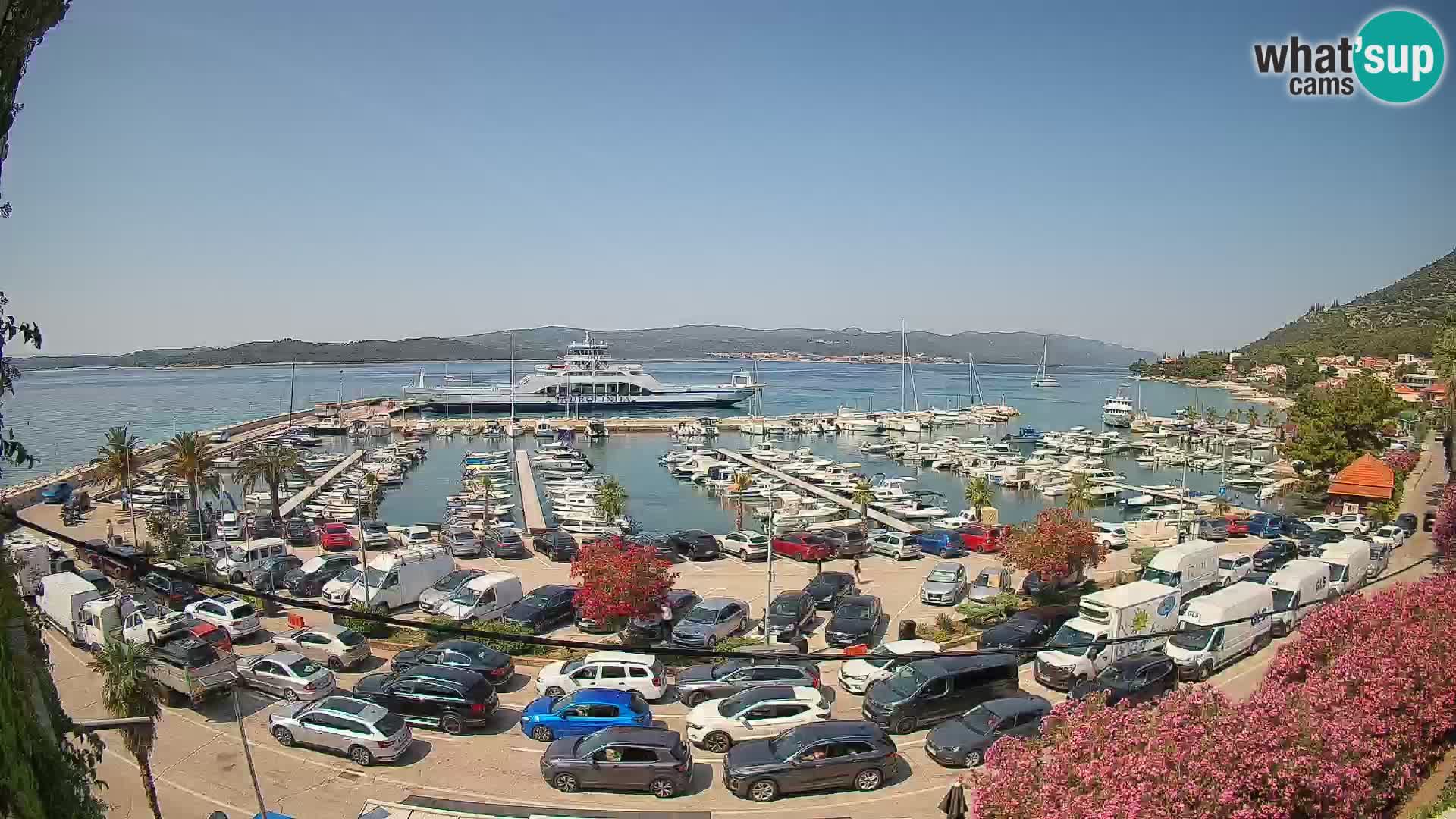 Webcam Sabbioncello Riva – Traghetto per Curzola in diretta
