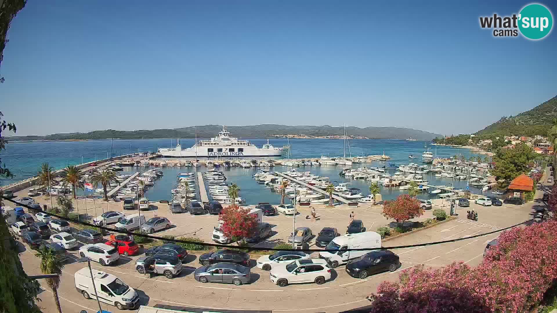 Webcam Sabbioncello Riva – Traghetto per Curzola in diretta