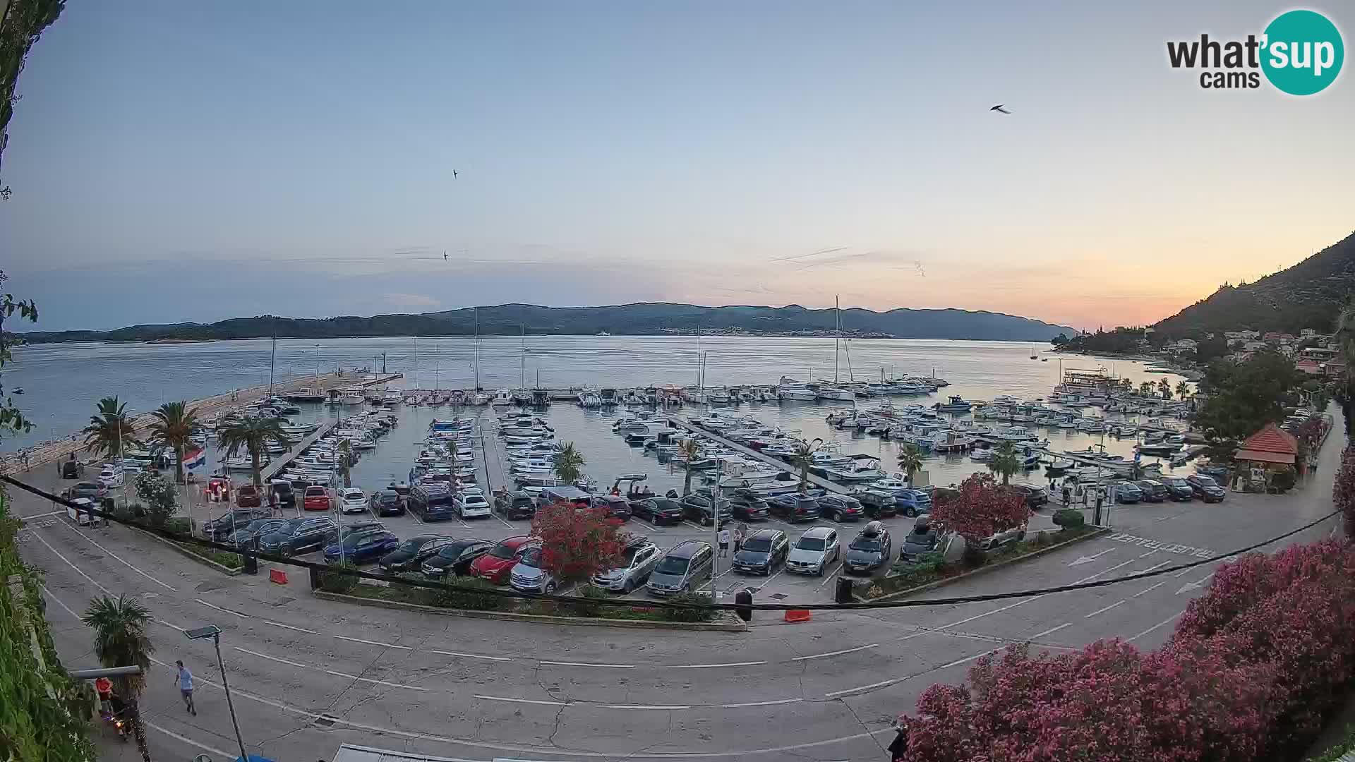 Webcam Orebić Uferpromenade – Fähre nach Korčula Live