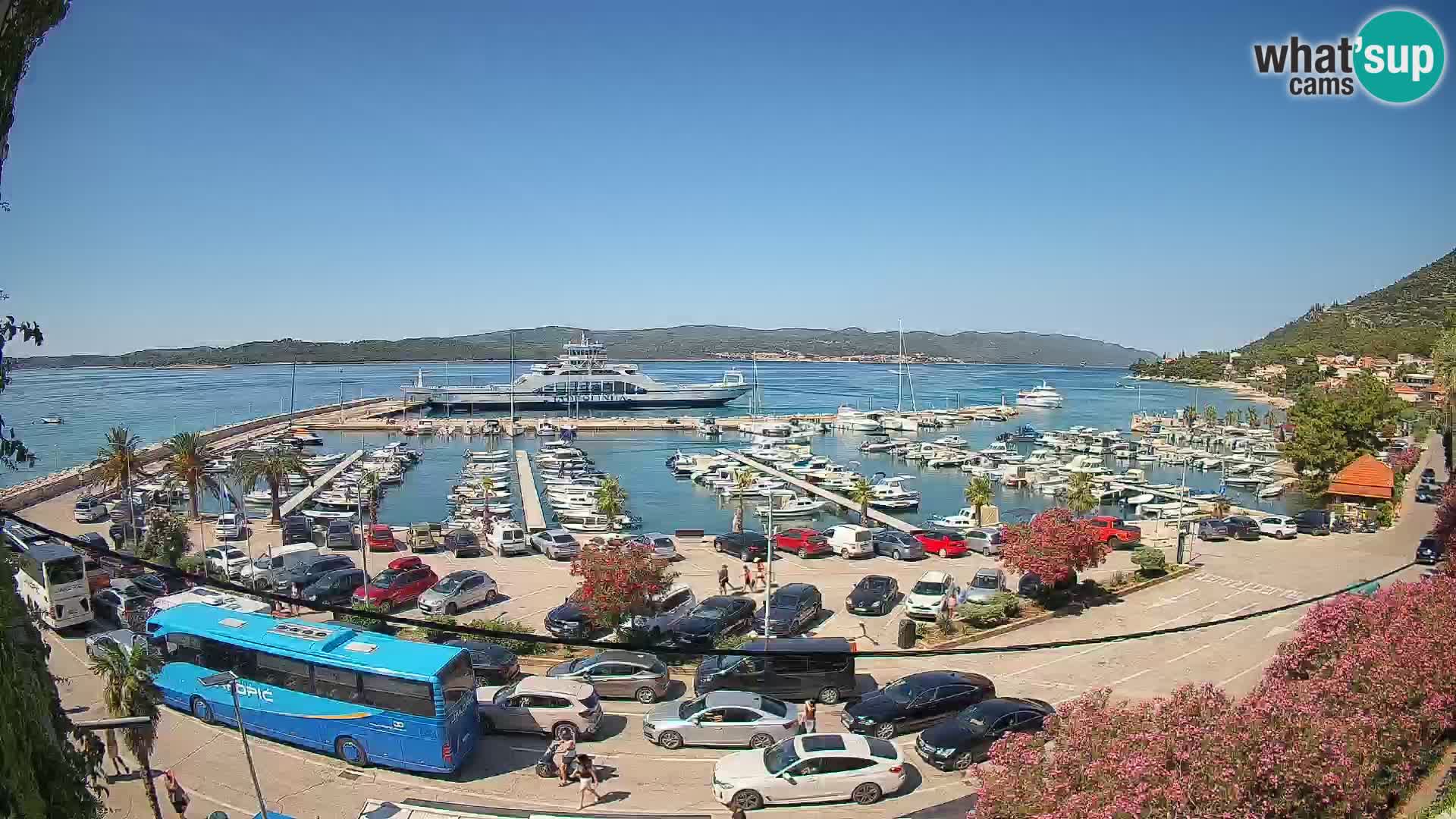 Webcam Sabbioncello Riva – Traghetto per Curzola in diretta