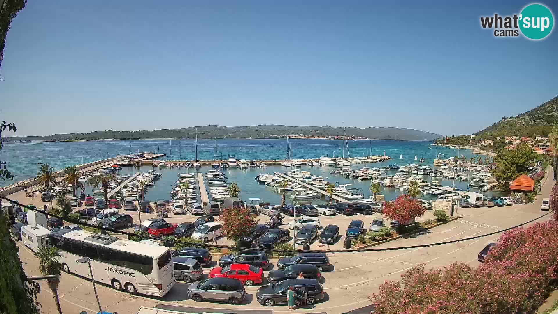 Webcam Orebić Riva – Ferry a Korčula en vivo