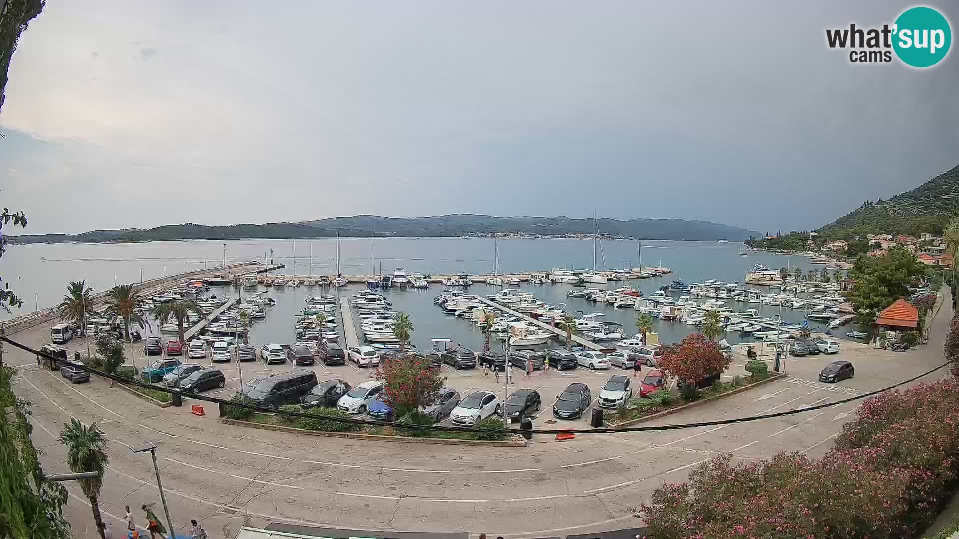 Webcam Sabbioncello Riva – Traghetto per Curzola in diretta
