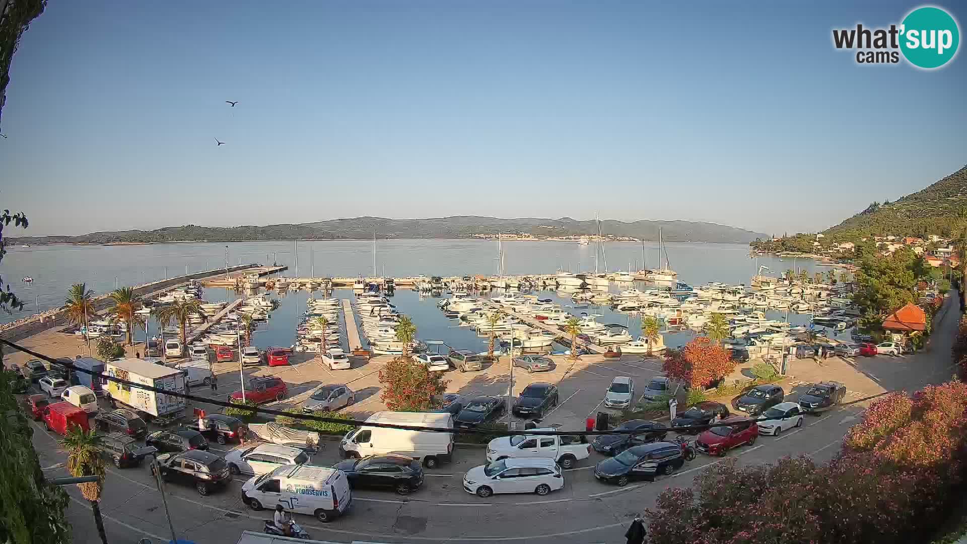 Webcam Sabbioncello Riva – Traghetto per Curzola in diretta