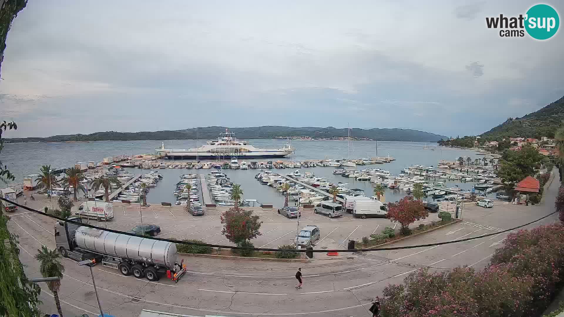 Webcam Orebić Riva – Ferry a Korčula en vivo