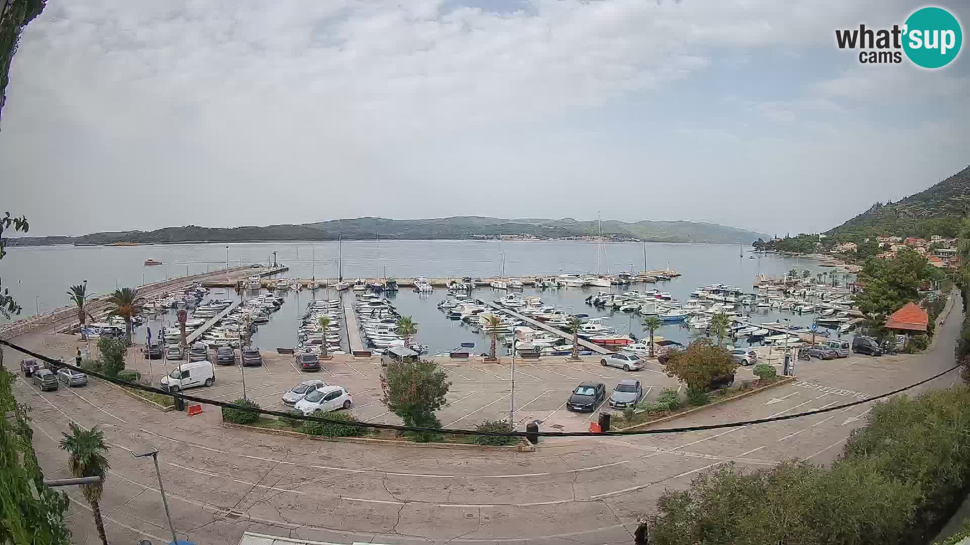 Webcam Orebić Riva – Ferry a Korčula en vivo