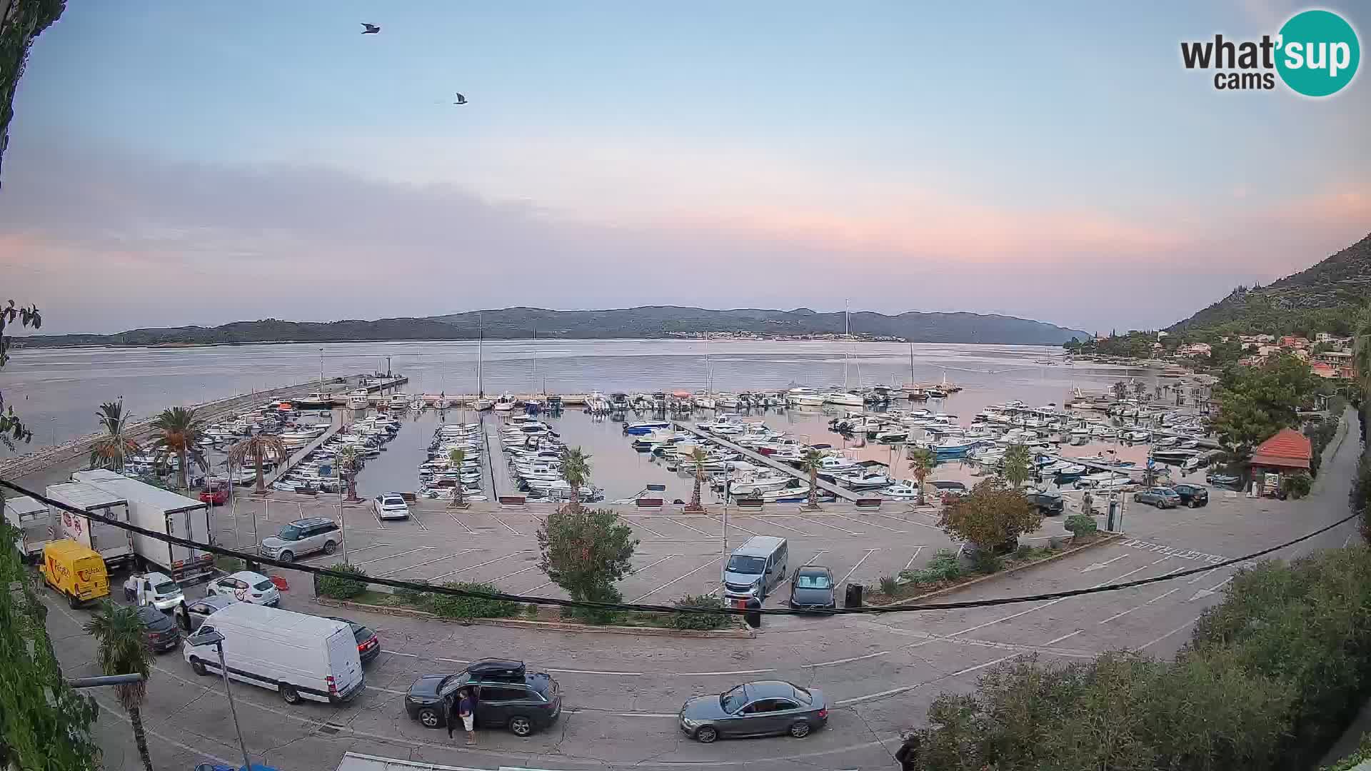 Webcam Orebić Riva – Ferry to Korčula Live