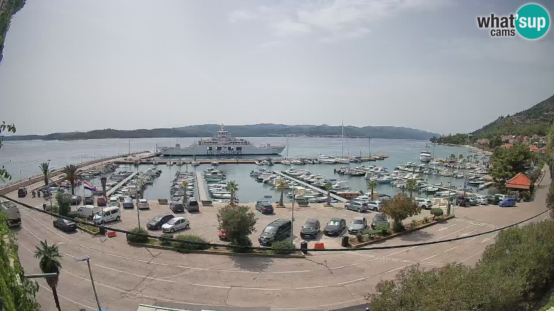 Webcam Orebić Uferpromenade – Fähre nach Korčula Live