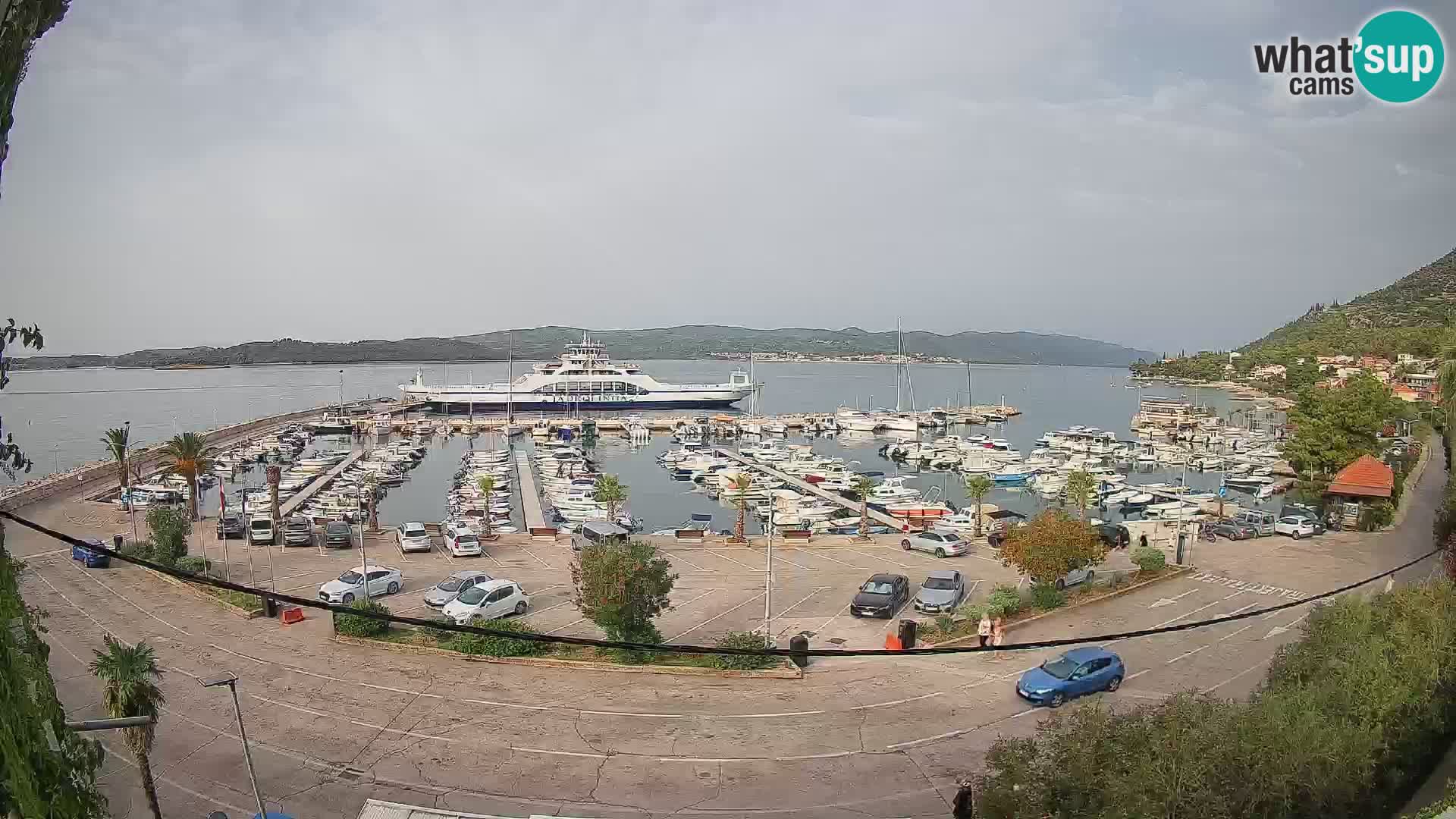 Webcam Sabbioncello Riva – Traghetto per Curzola in diretta