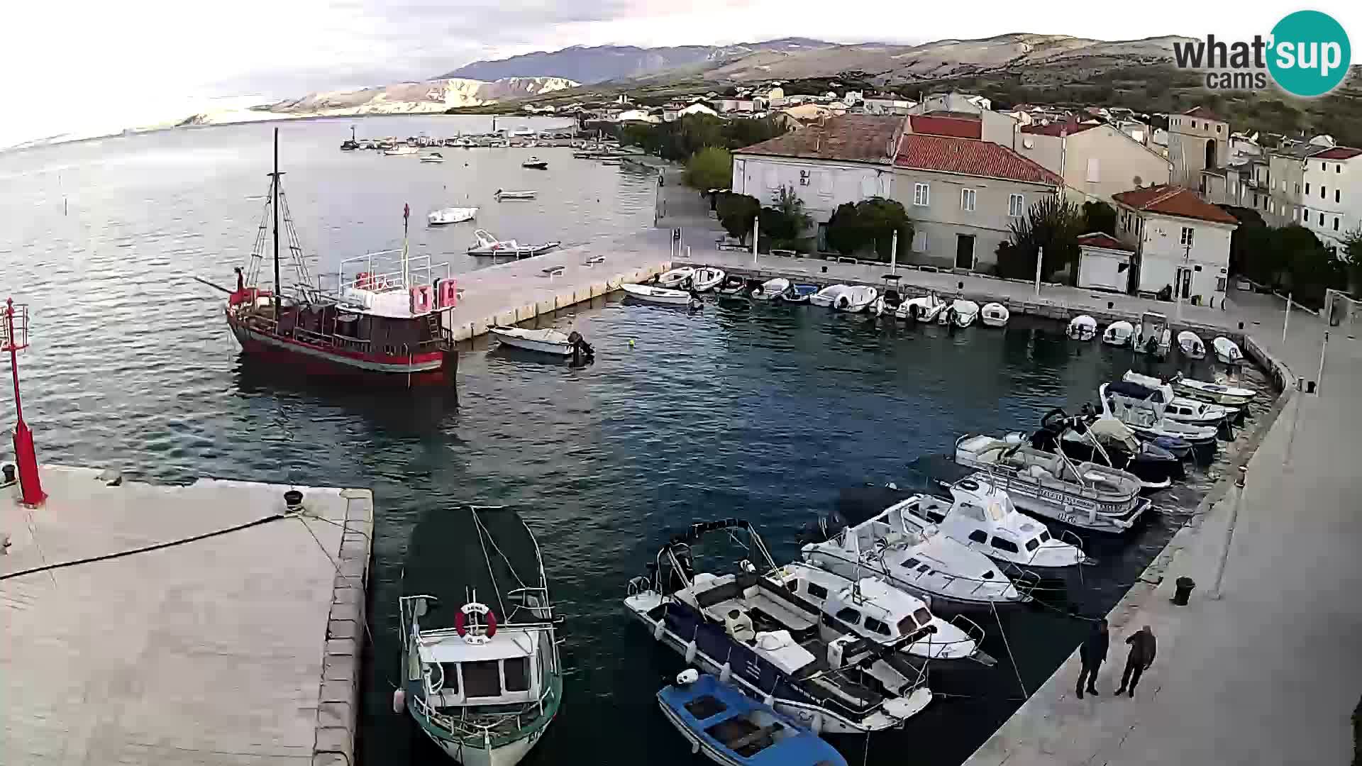 Pag Live webcam – porto turistico