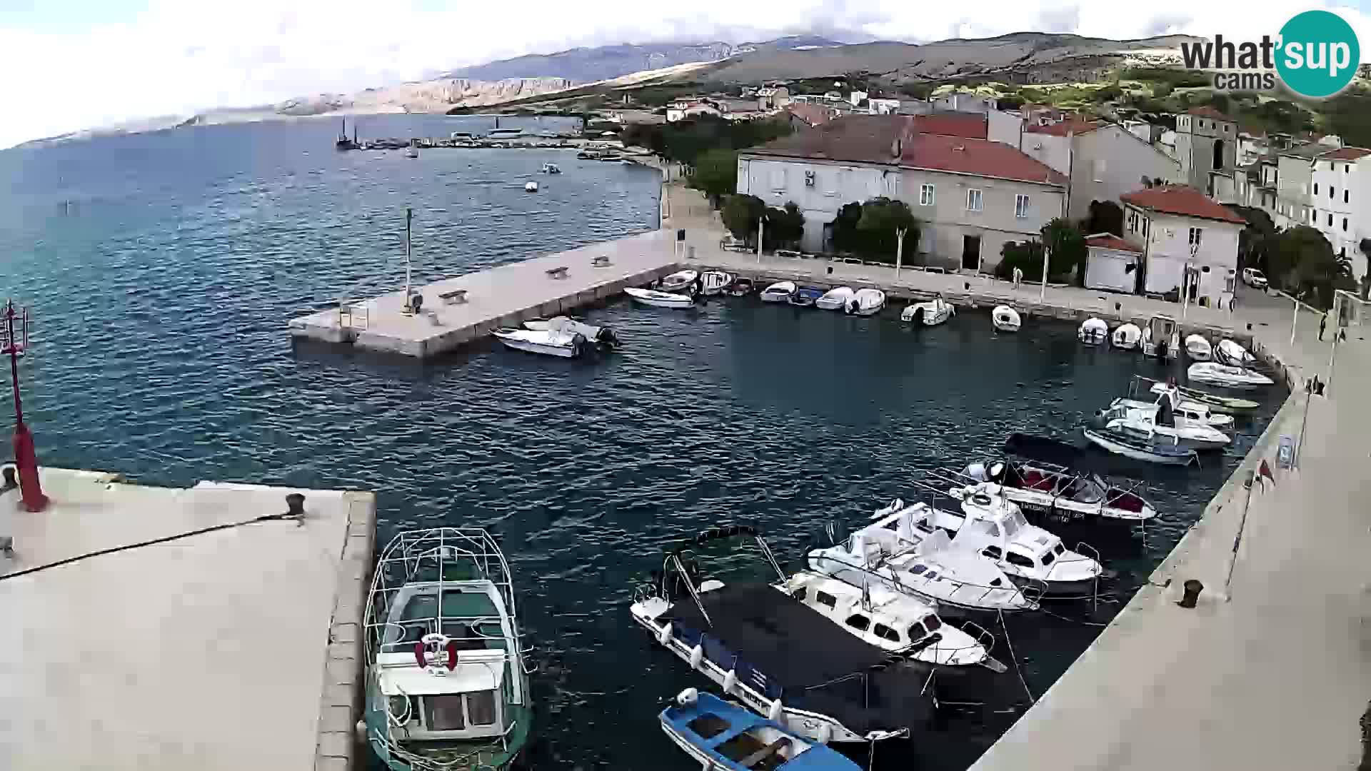 Pag Live webcam – porto turistico