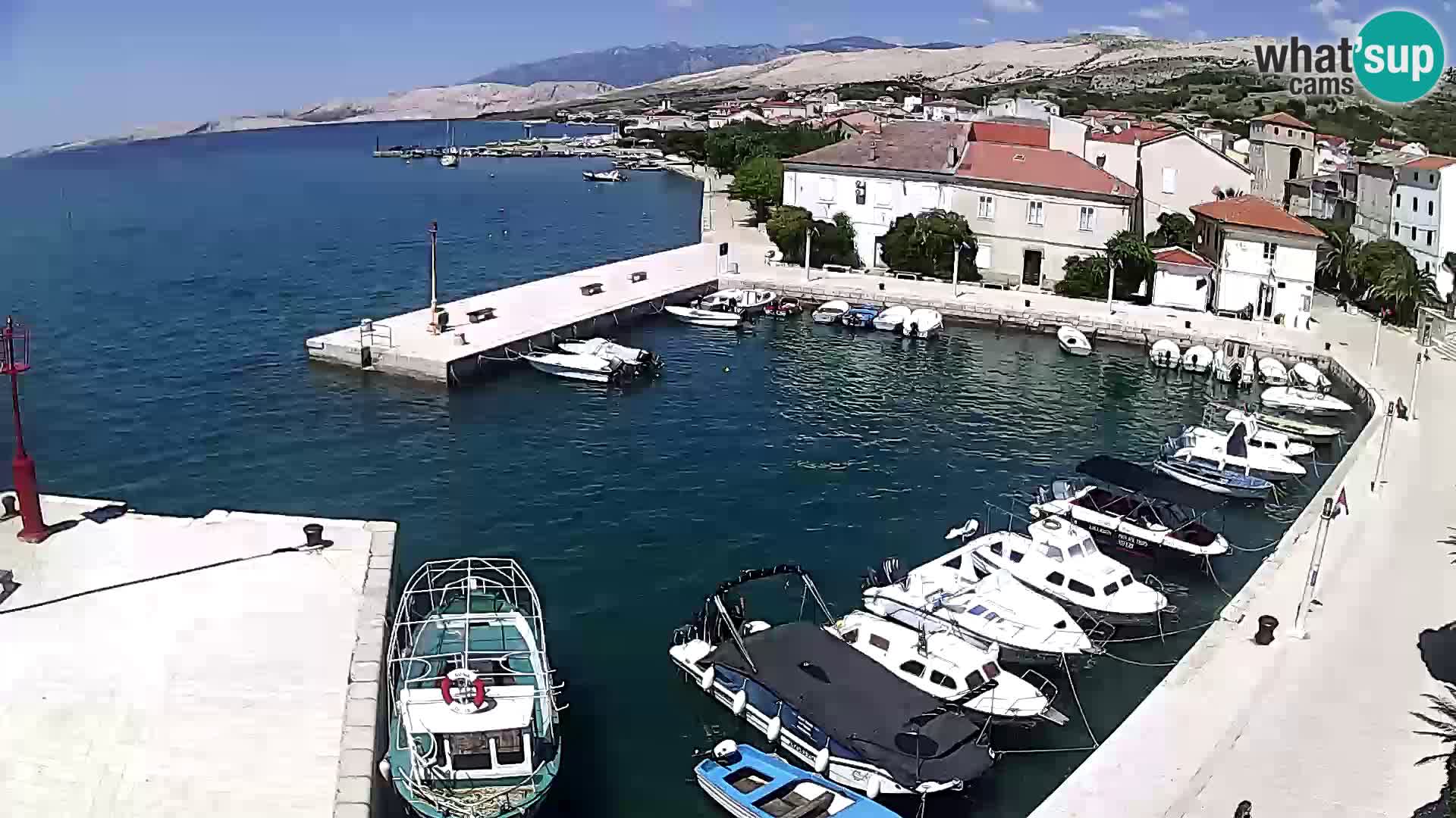 Pag Live webcam – porto turistico
