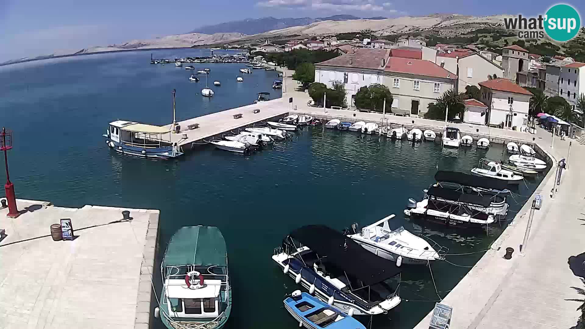 Pag Live webcam – porto turistico