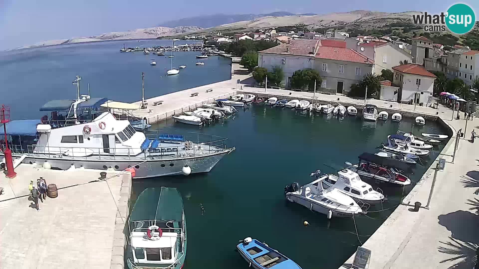 Pag Live webcam – porto turistico