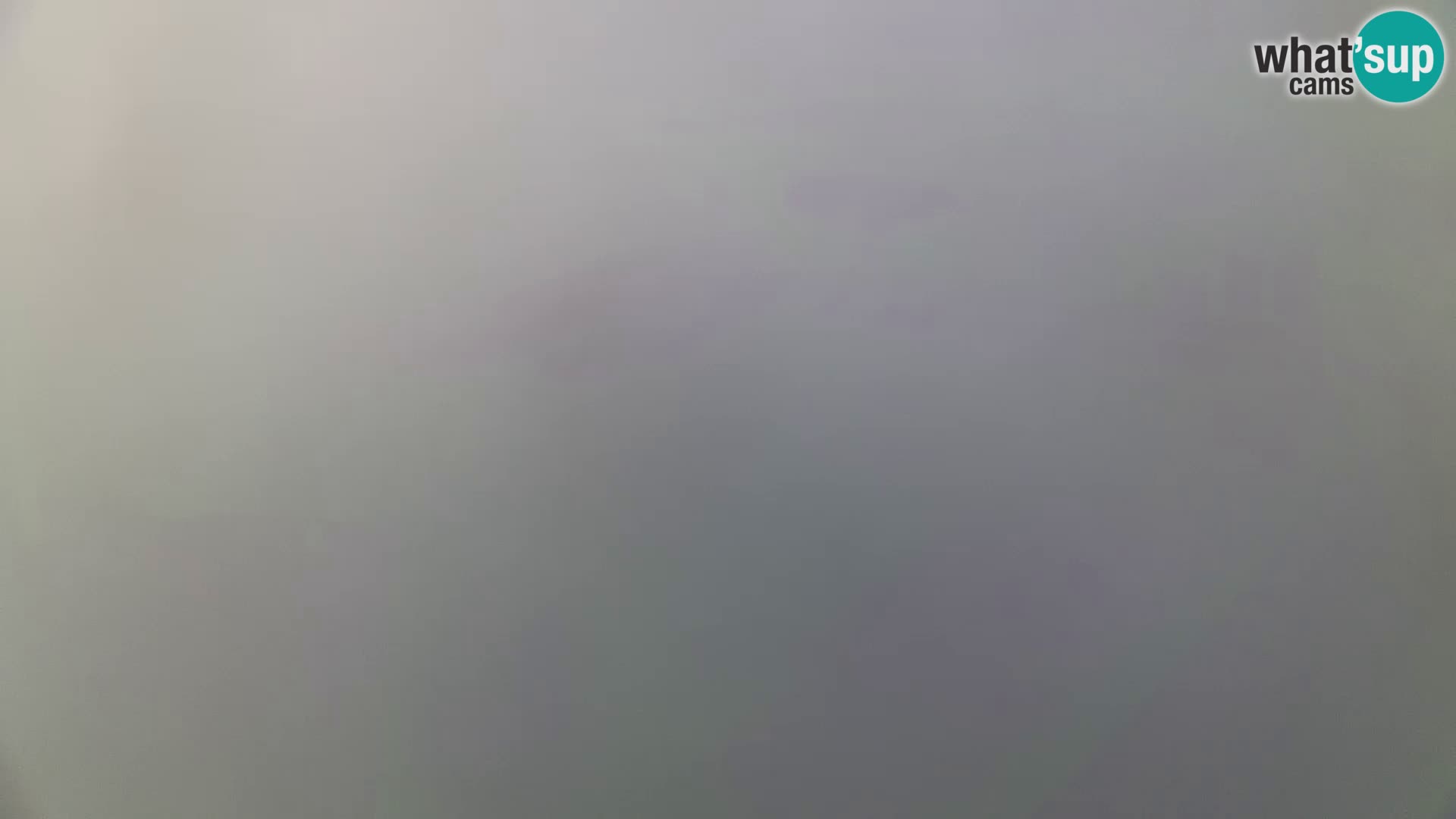 Pag Live webcam – porto turistico