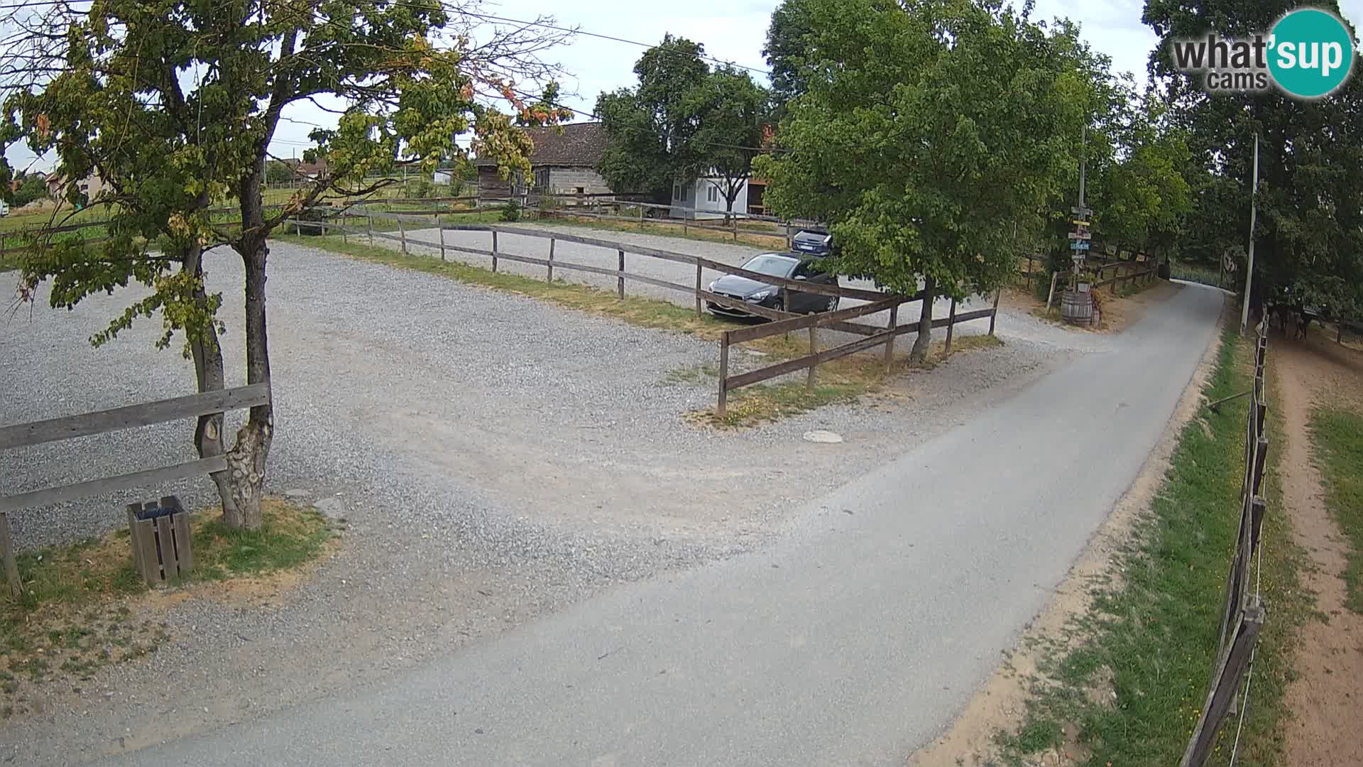 Live webcam Paklenica – Seline – Starigrad – Velebit – Dalmatia – Croatia