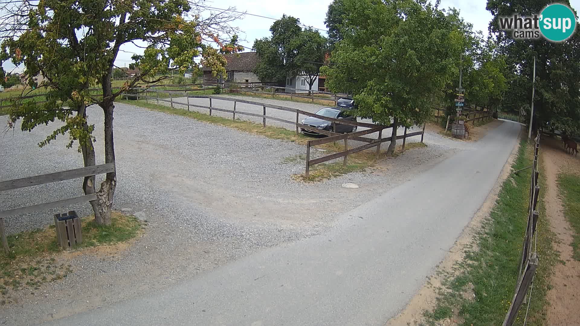 Live-Webcam Paklenica – Seline – Starigrad – Velebit – Dalmatien – Kroatien