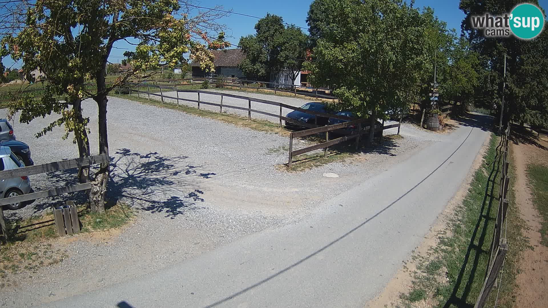 Webcam en direct Paklenica – Seline – Starigrad – Velebit – Dalmatie – Croatie