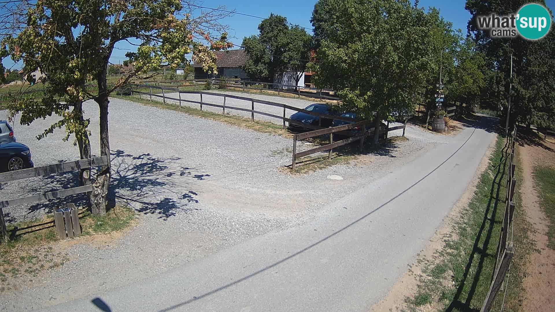 Live-Webcam Paklenica – Seline – Starigrad – Velebit – Dalmatien – Kroatien