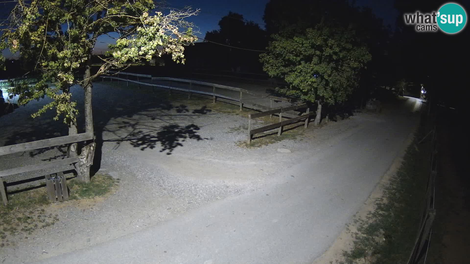 Spletna kamera v živo Paklenica – Seline – Starigrad – Velebit – Dalmacija – Hrvaška