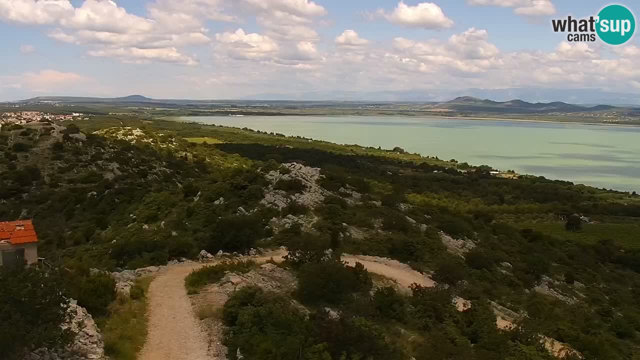 En vivo Pakoštane – Drage – Kornati – Vransko Jezero