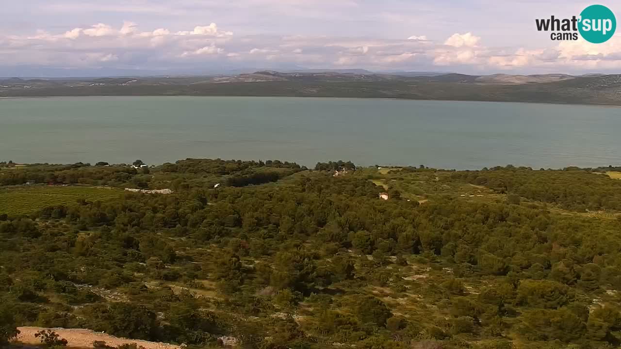 En vivo Pakoštane – Drage – Kornati – Vransko Jezero