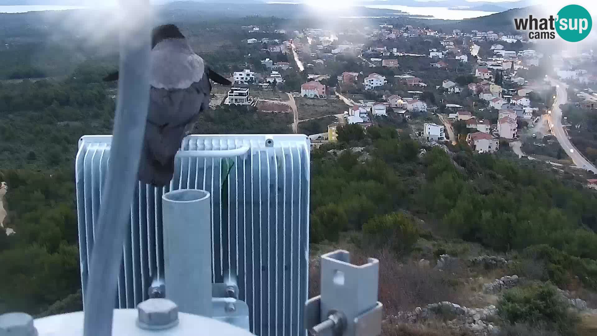 Spletna kamera Pakoštane – Drage – Kornati – Vransko Jezero