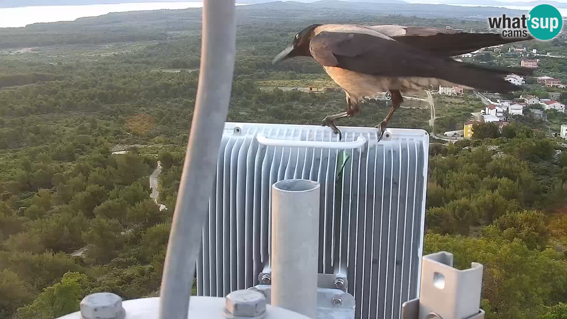 Livecam Pakoštane – Drage – Kornati – Vransko Jezero