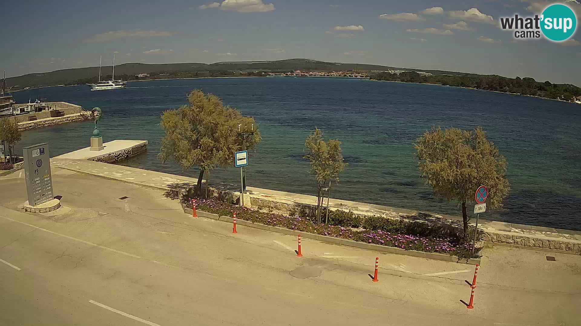 Live Cam Pašman