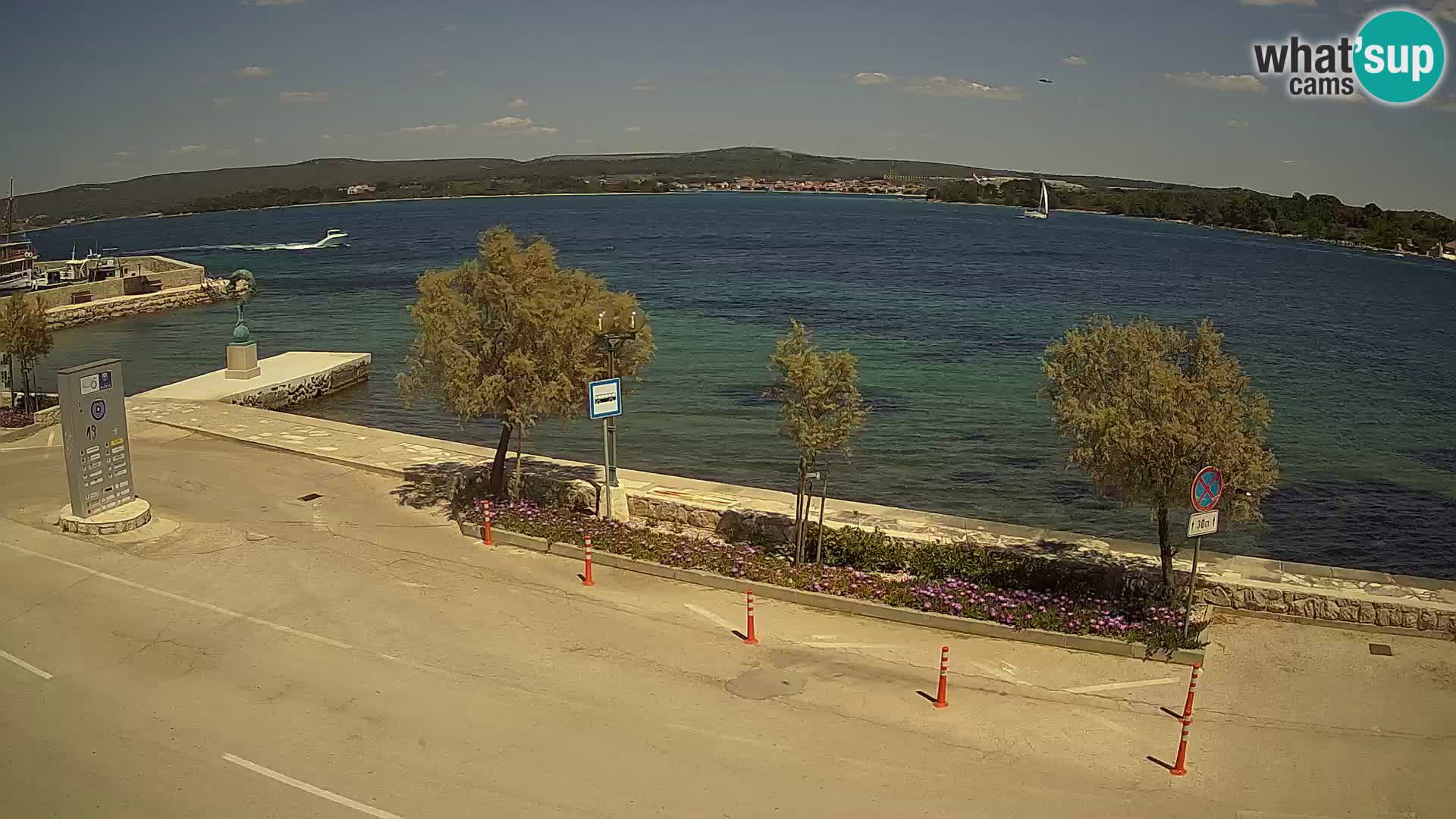 Live Cam Pašman