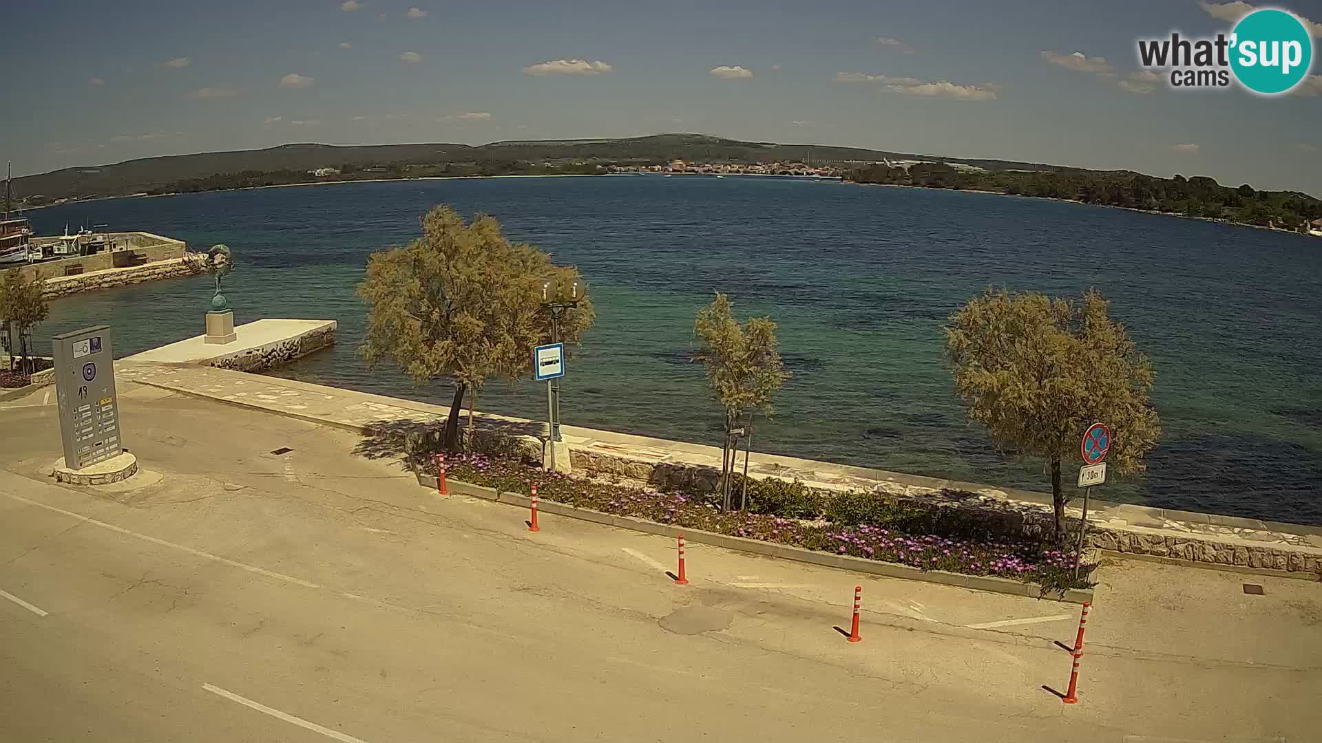 Live Cam Pašman