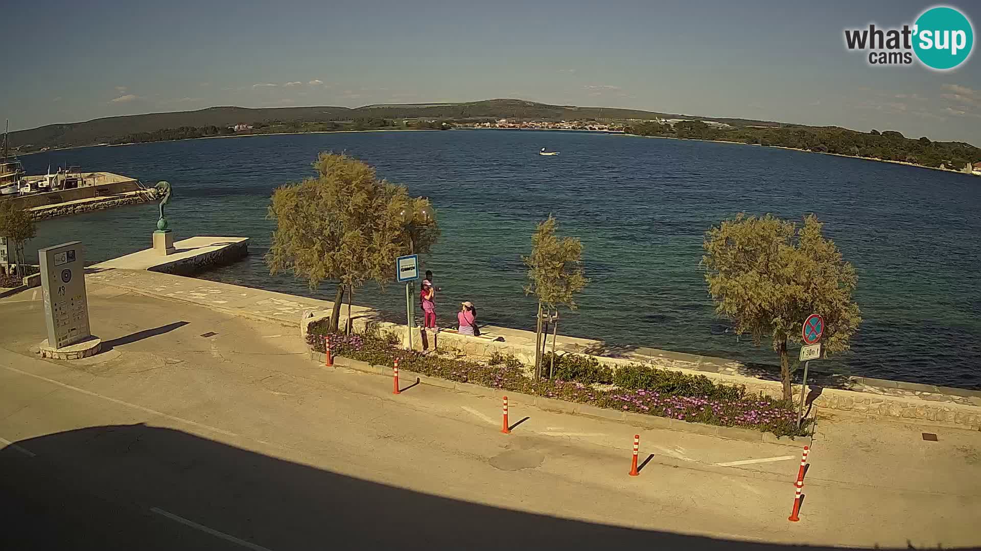 Webcam Pašman