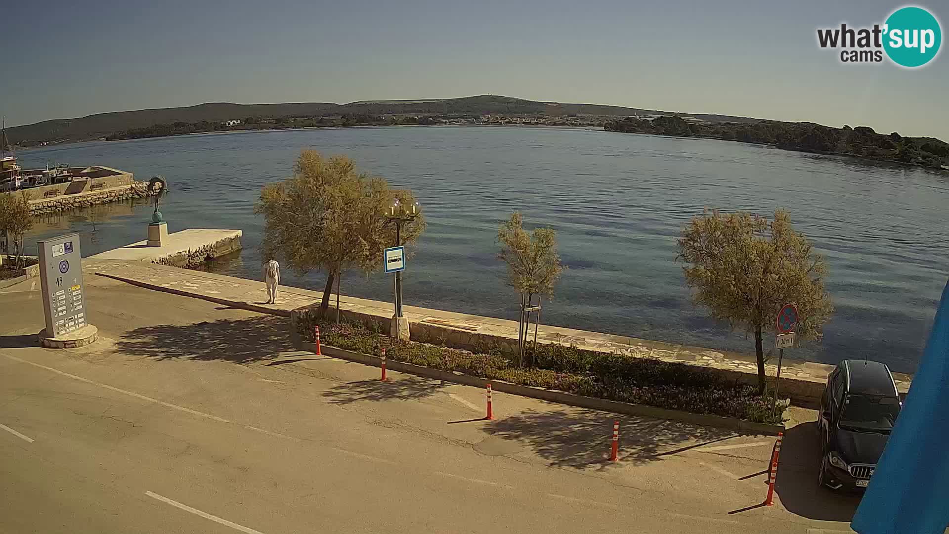Live Cam Pašman
