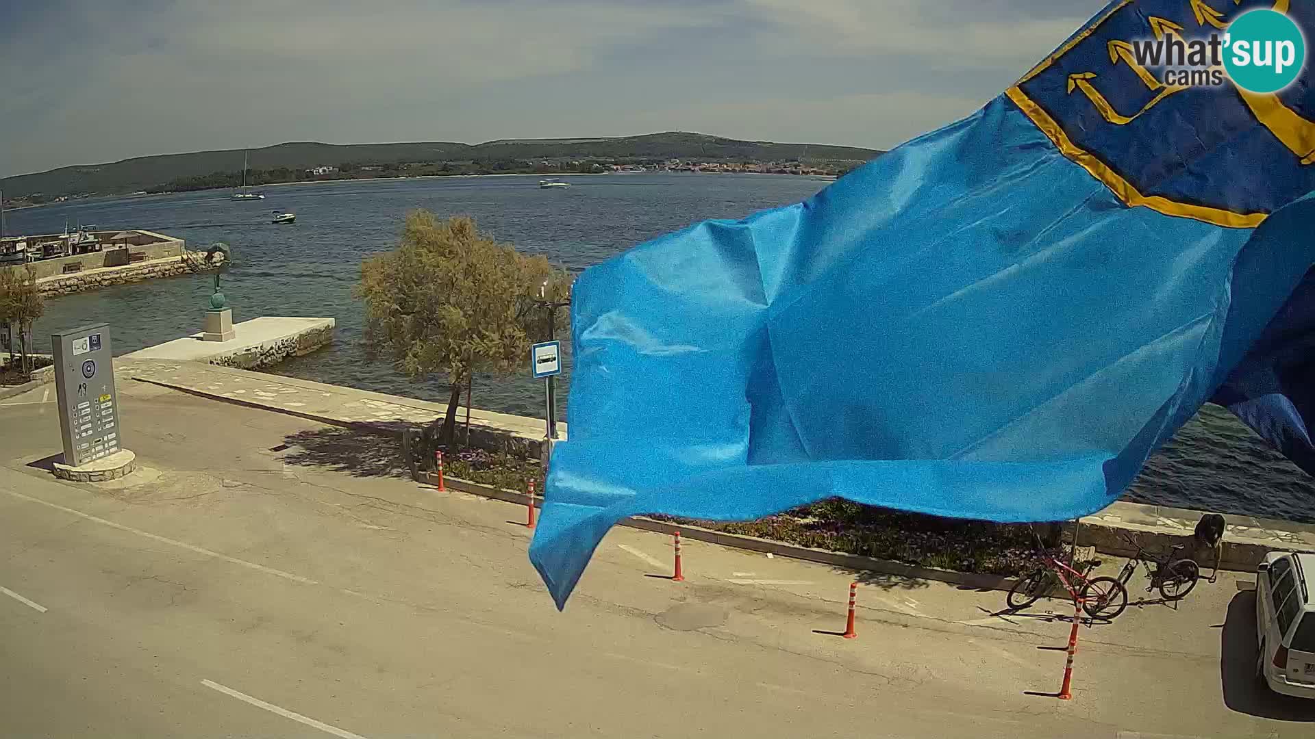 Live Cam Pašman