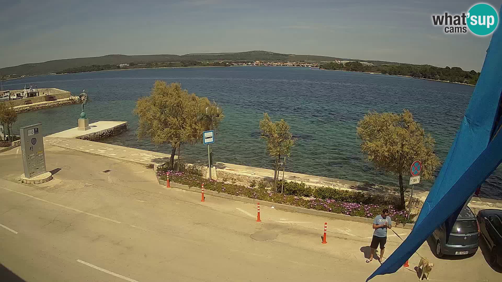 Livecam Pašman